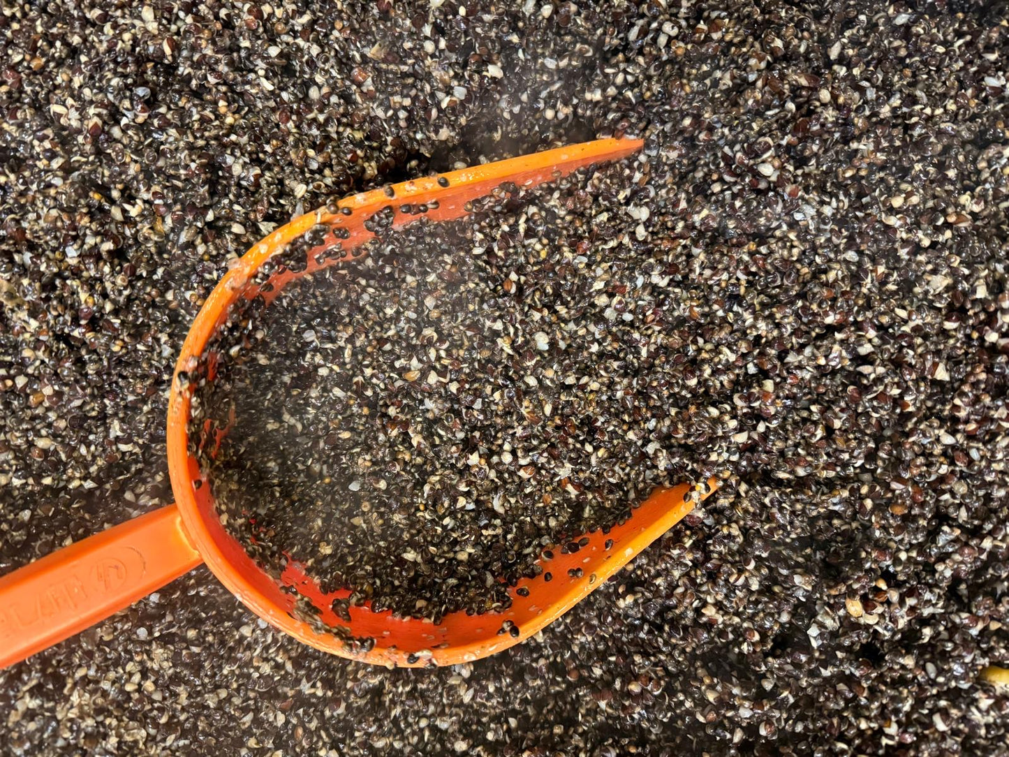 Hemp & Buckwheat (5kg) Sale