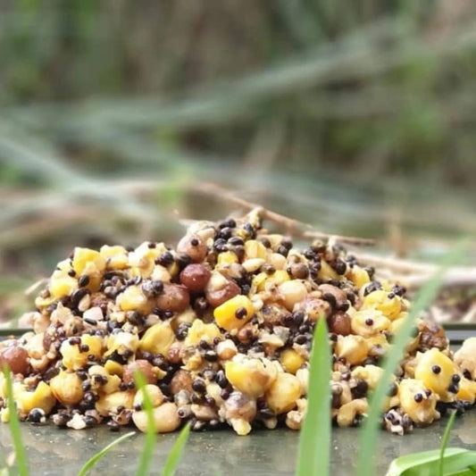 20kg for £30 with free delivery