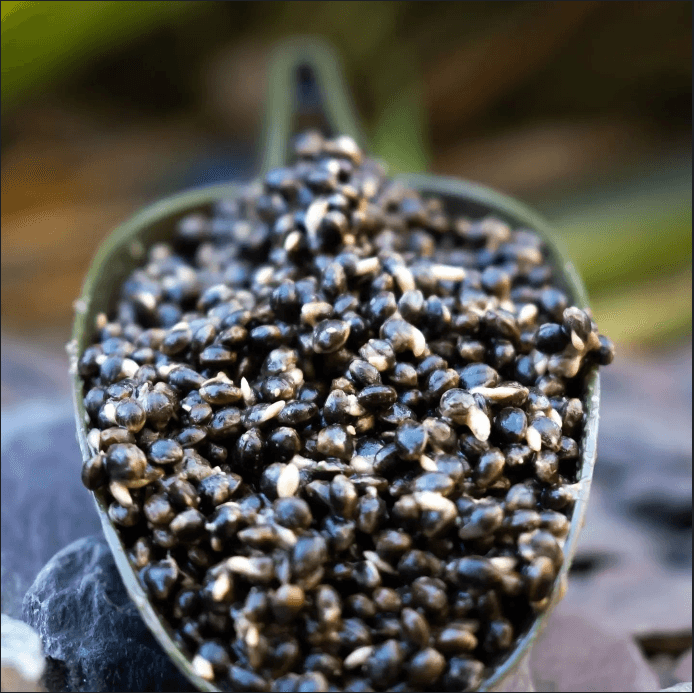 Pellet and Particle - Impact Particles