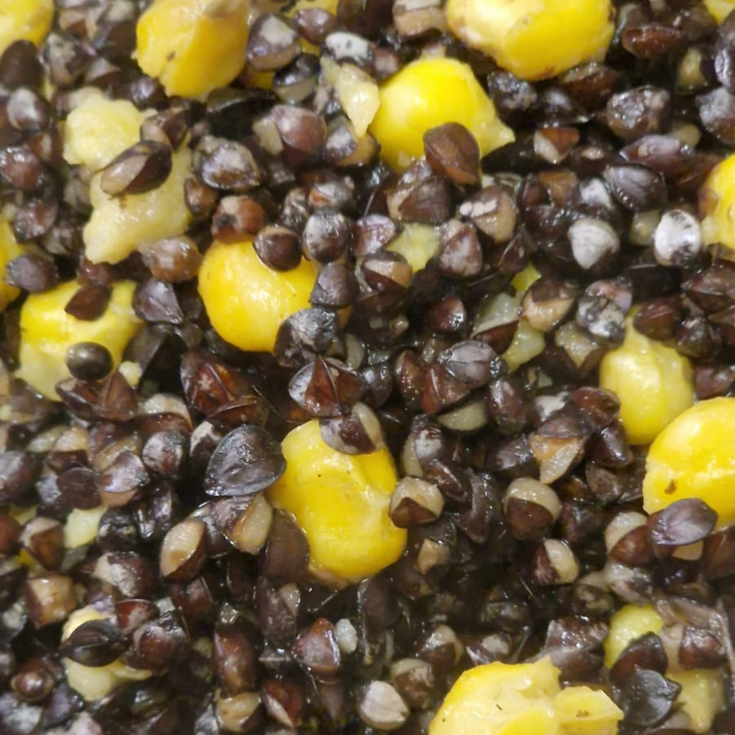 Maize Frenzy 20kg (Free delivery)