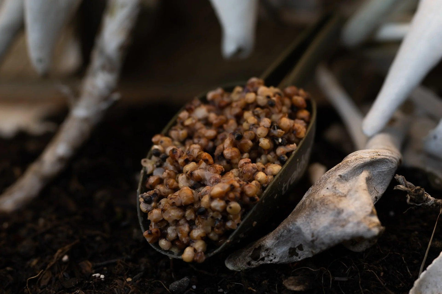 10LTR Impact Chilli Bucket - Impact Particles