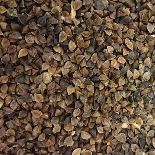 Buckwheat ** Free Delivery ** - Impact Particles