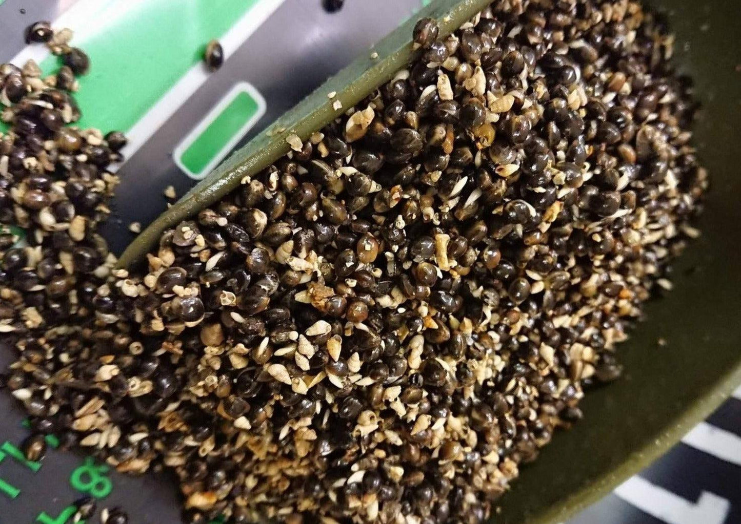 Hemp & Snails - Impact Particles