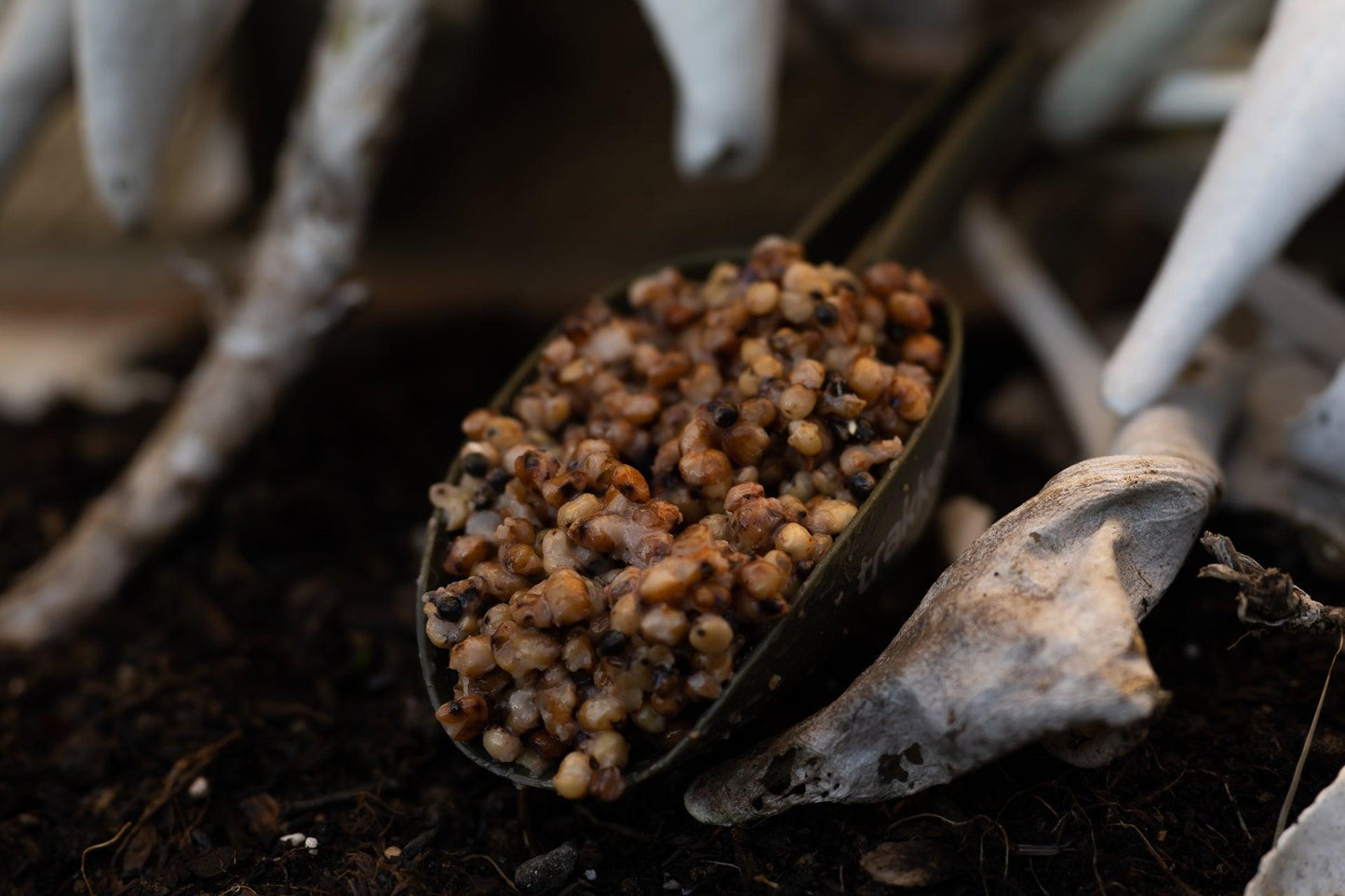 Impact Chilli - Impact Particles