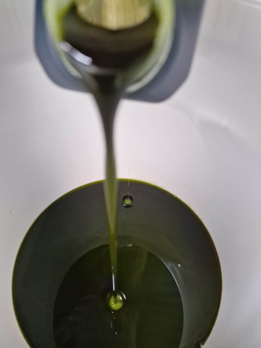 Hemp Oil