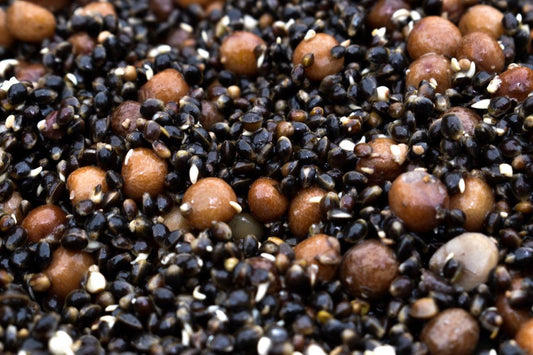 Hemp & Maples - Impact Particles