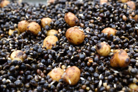 Hemp & Tigers - Impact Particles