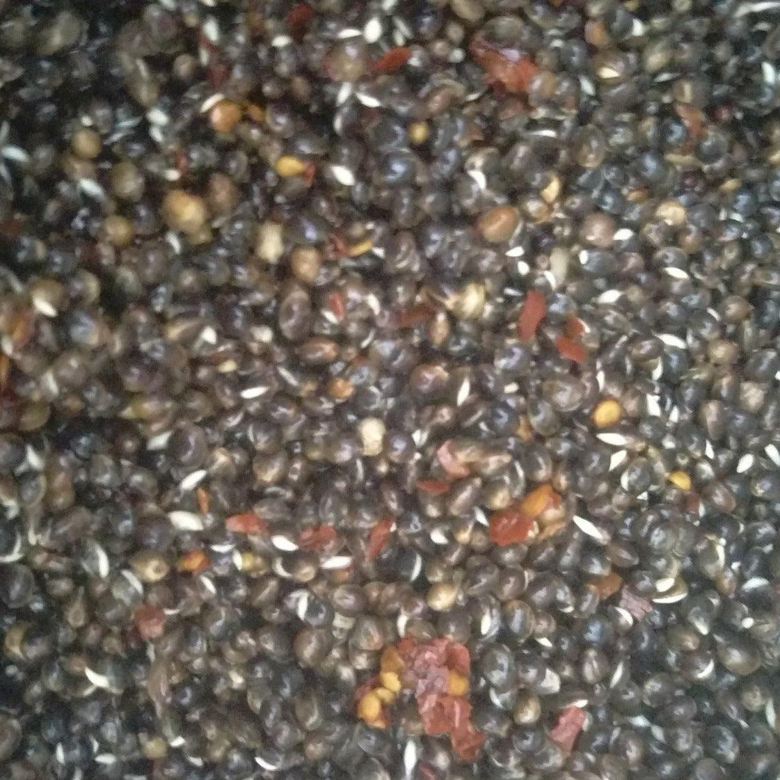 Chilli Hemp Seed - Impact Particles
