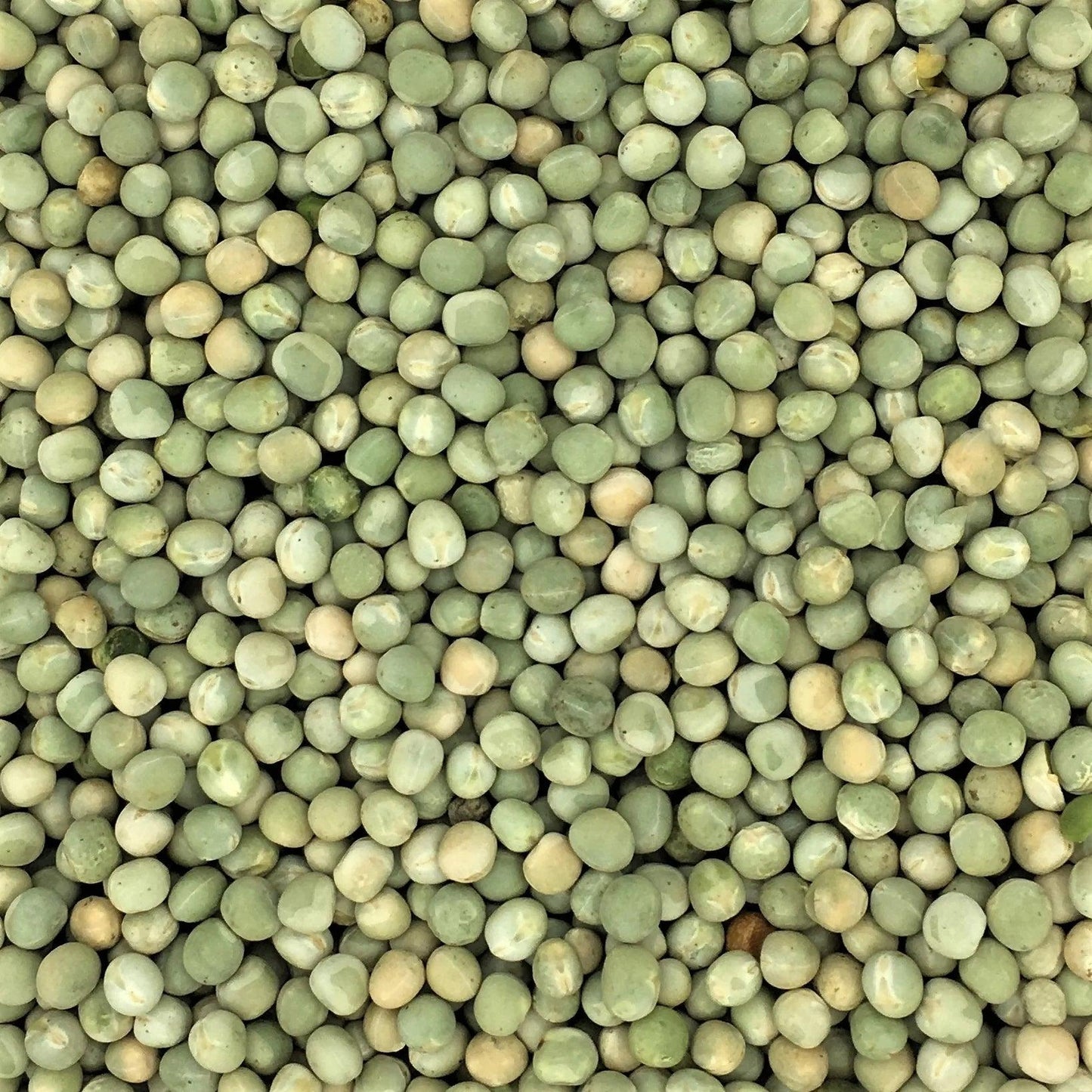 Peas ** Free Delivery ** - Impact Particles