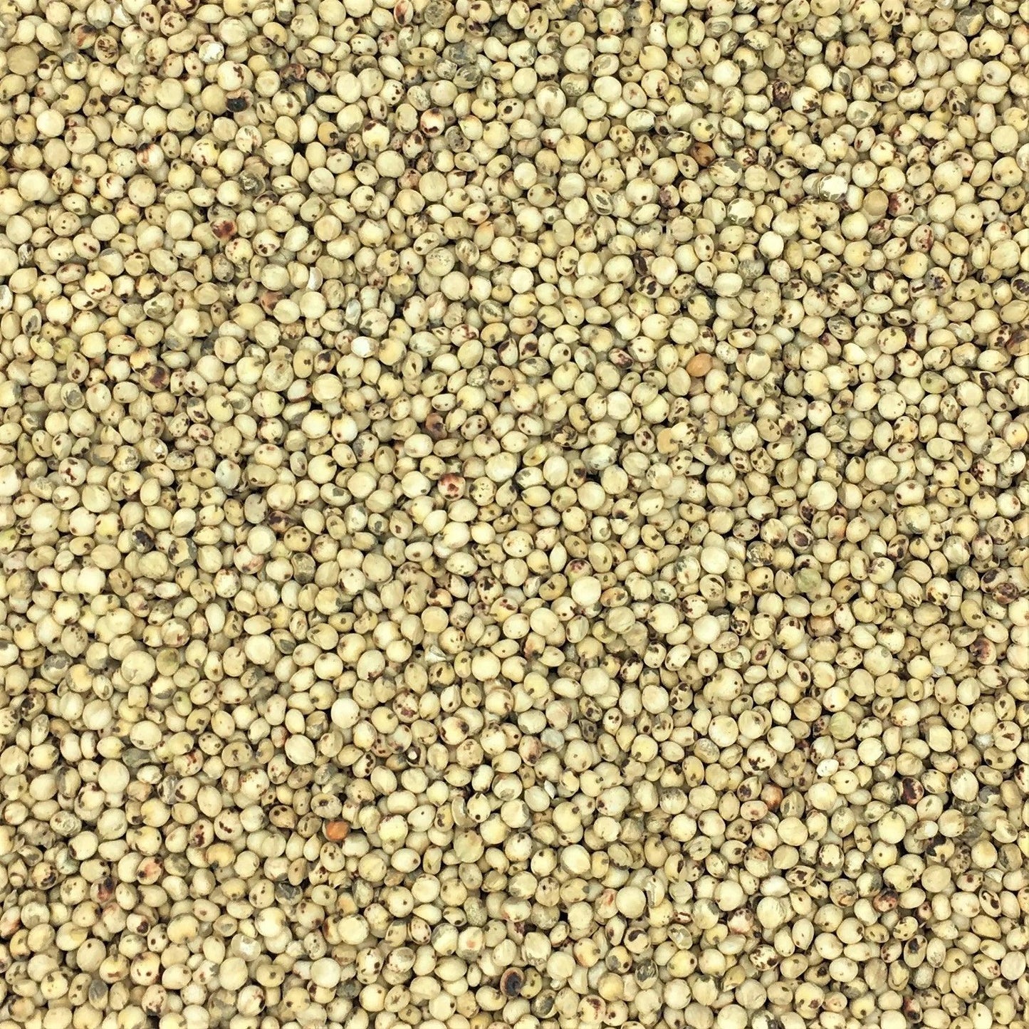 White Dari ** Free Delivery ** - Impact Particles