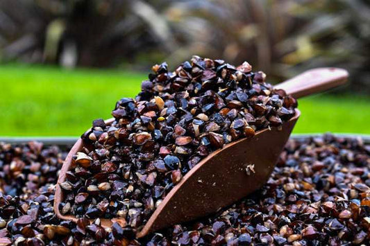 Buckwheat - Impact Particles