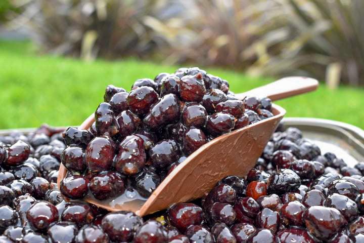 Black Tigernuts - Impact Particles