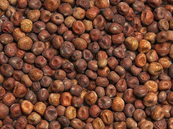 Maples (Dry) - Impact Particles