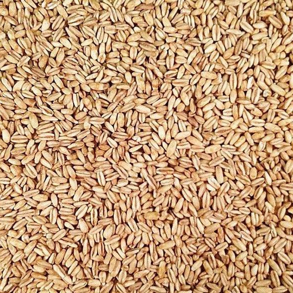 Groats (Dry) - Impact Particles