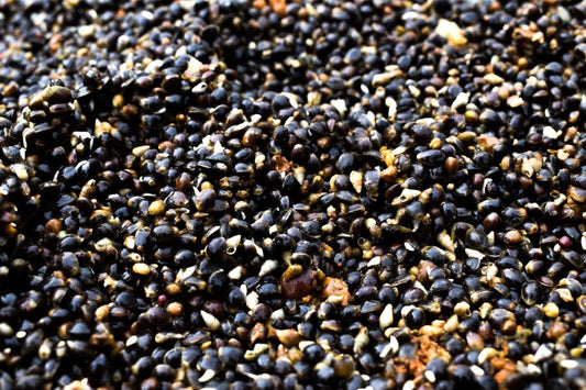 Flavored Hemp (10L Bucket) - Impact Particles