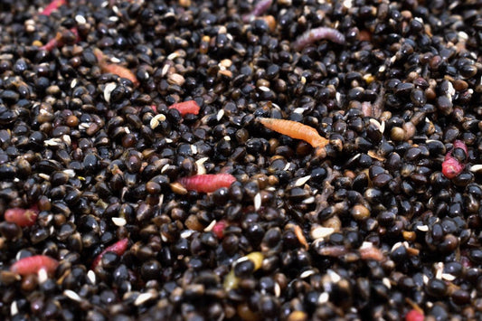 Hemp & Maggots - Impact Particles