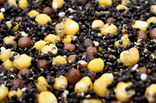 Hemp & Maize & Maples - Impact Particles