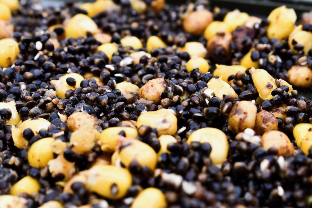 Hemp & Maize & Tigers (H.M.T) - Impact Particles