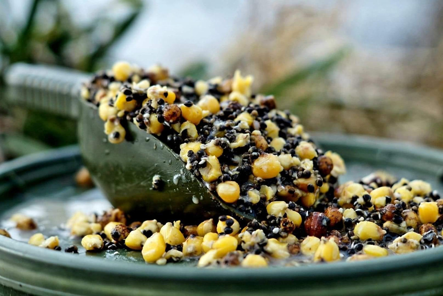 Hemp & Maize & Tigers (H.M.T) - Impact Particles