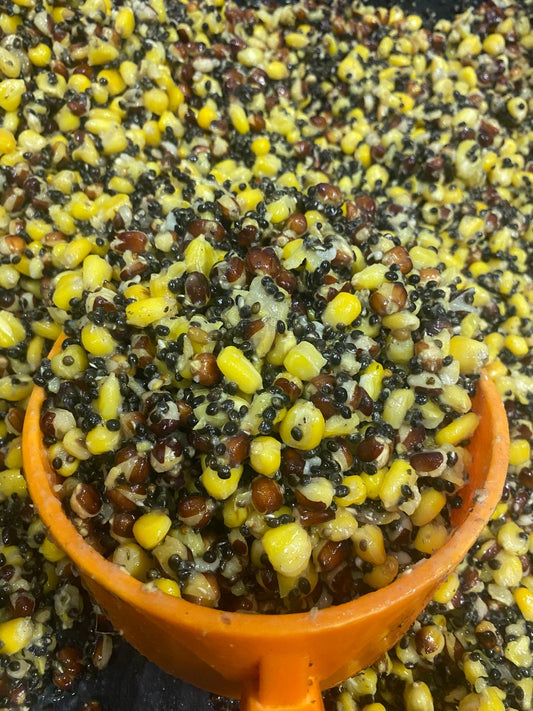 Hemp, Red & Yellow Maize SALE