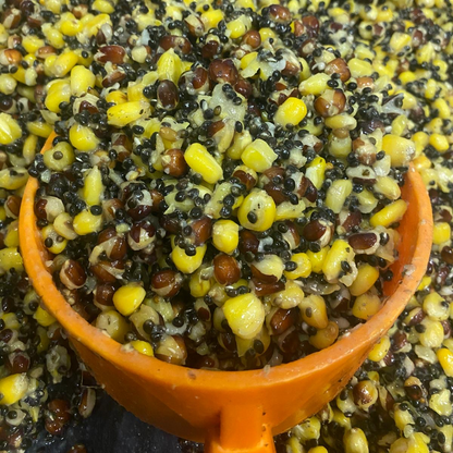 Hemp, Red & Yellow Maize SALE
