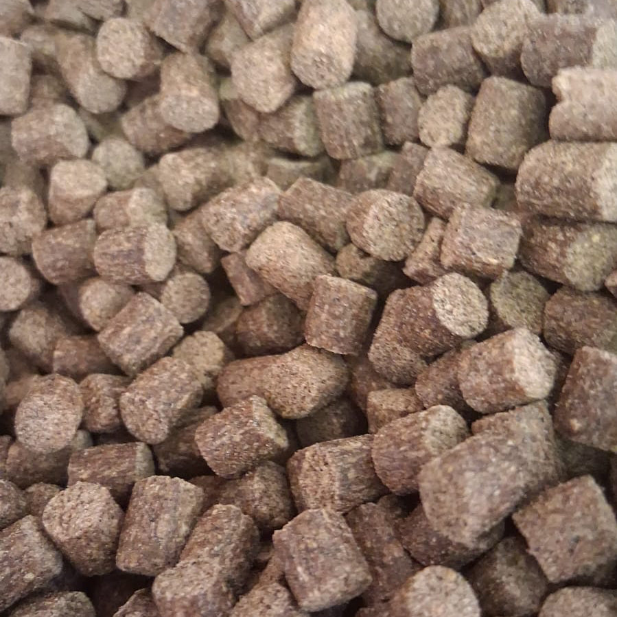 Coppens Carp Speed Pellets