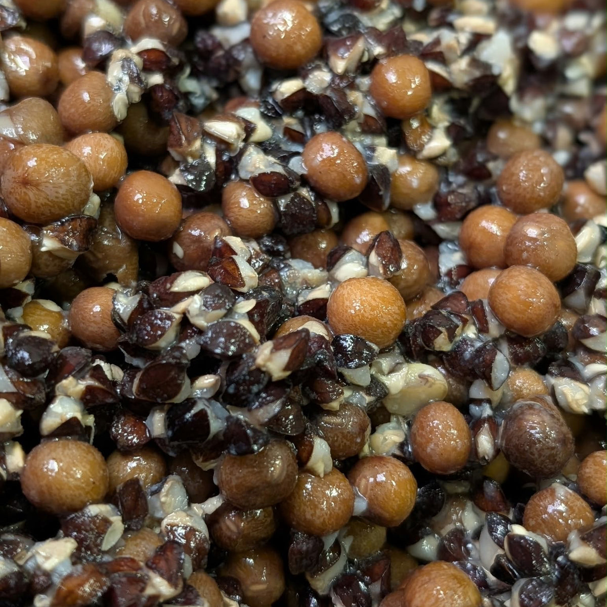 Buckwheat & Maples Sale