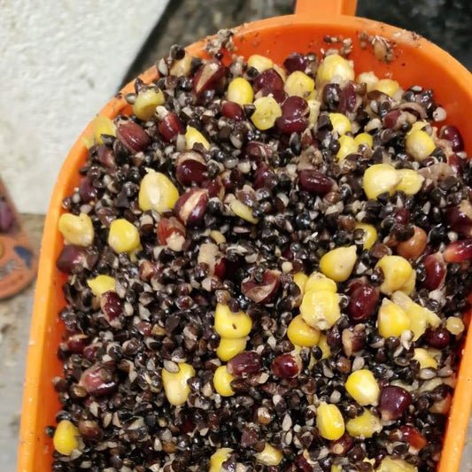 Buckwheat, Red Maize & Yellow Maize 5KG