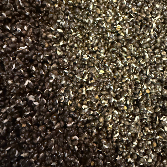 Garlic Hemp SALE