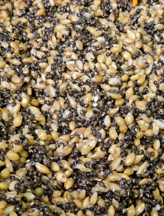 Hemp & Barley