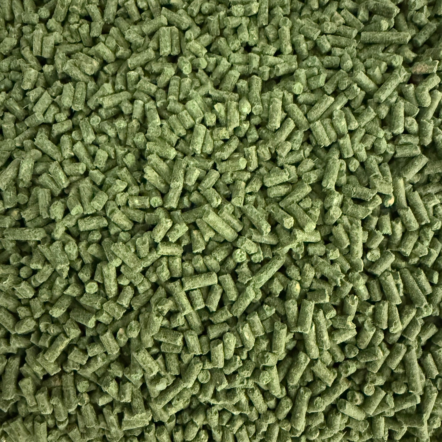 Green Lipped Mussel 3mm Pellets