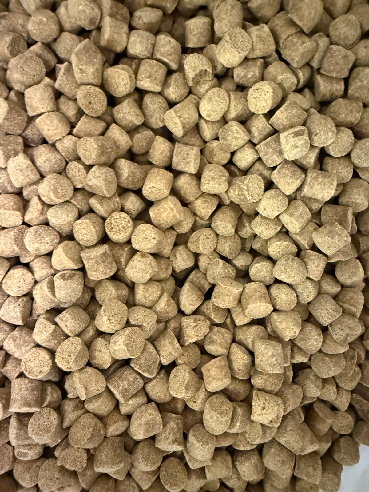 Course Particles Feed Skretting Coarse Pellets – Impact Particles