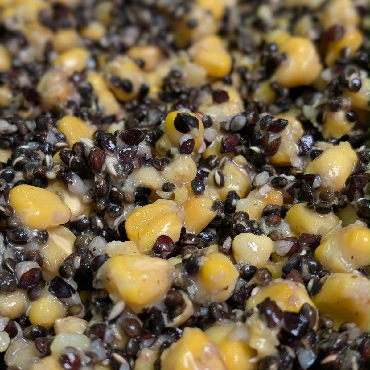 Hemp Maize Buckwheat Sale