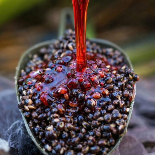 Mulberry Hempseed (5kg)
