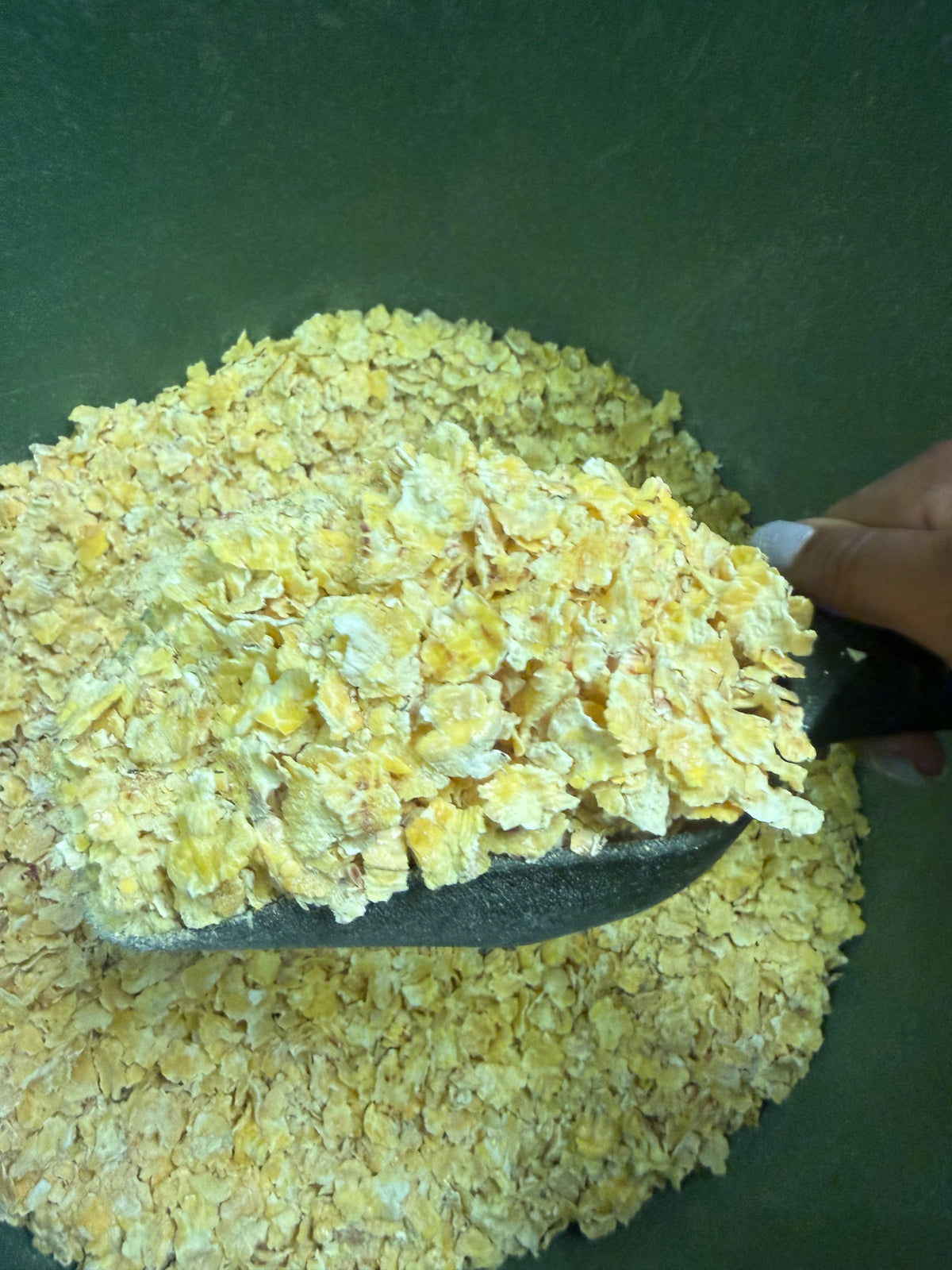 Flaked Maize (Dry)