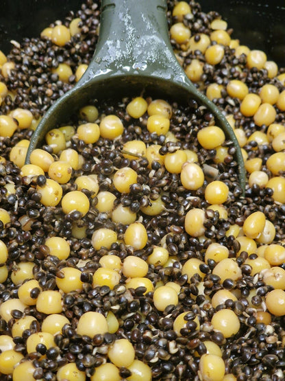 £1.50 PER KILO DEAL