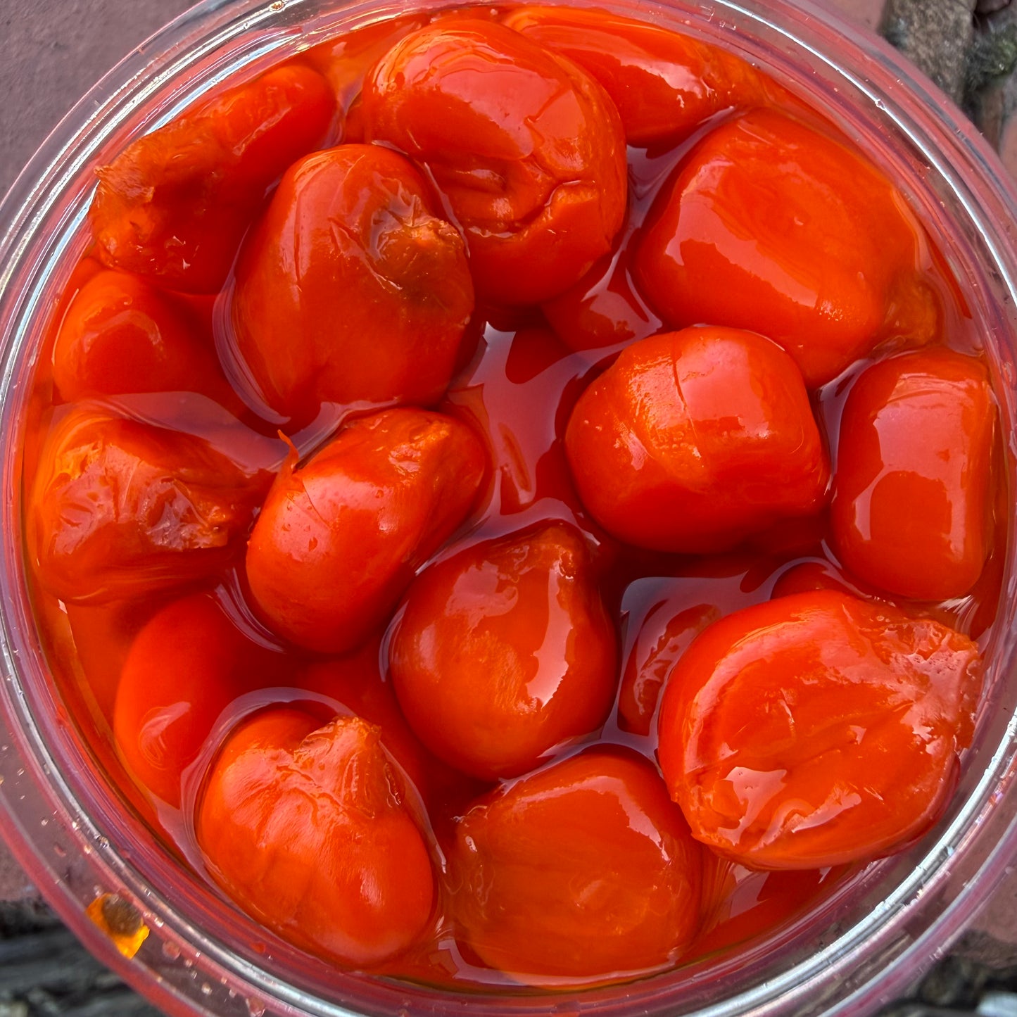 XXL Flavoured Maize Hookbait Pots