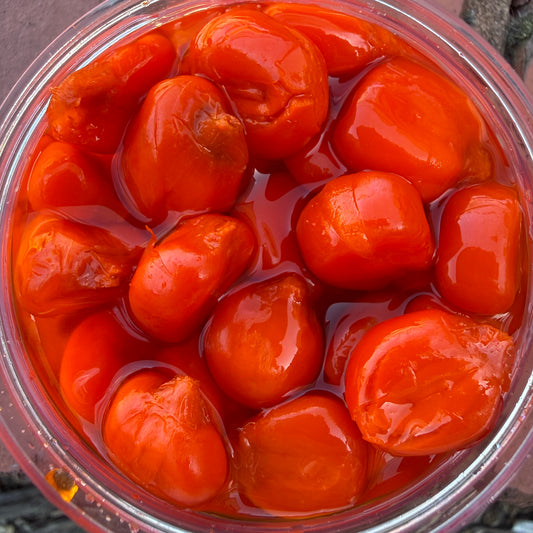 XXL Flavoured Maize Hookbait Pots
