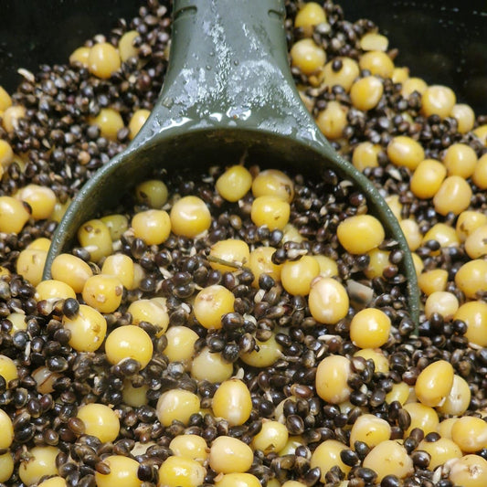 Hemp & Yellow Peas