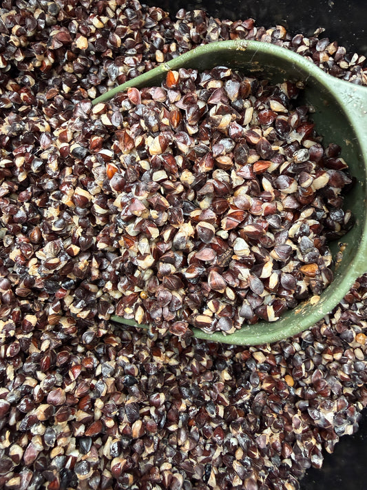 ** Buckwheat £1 Per Kilo **