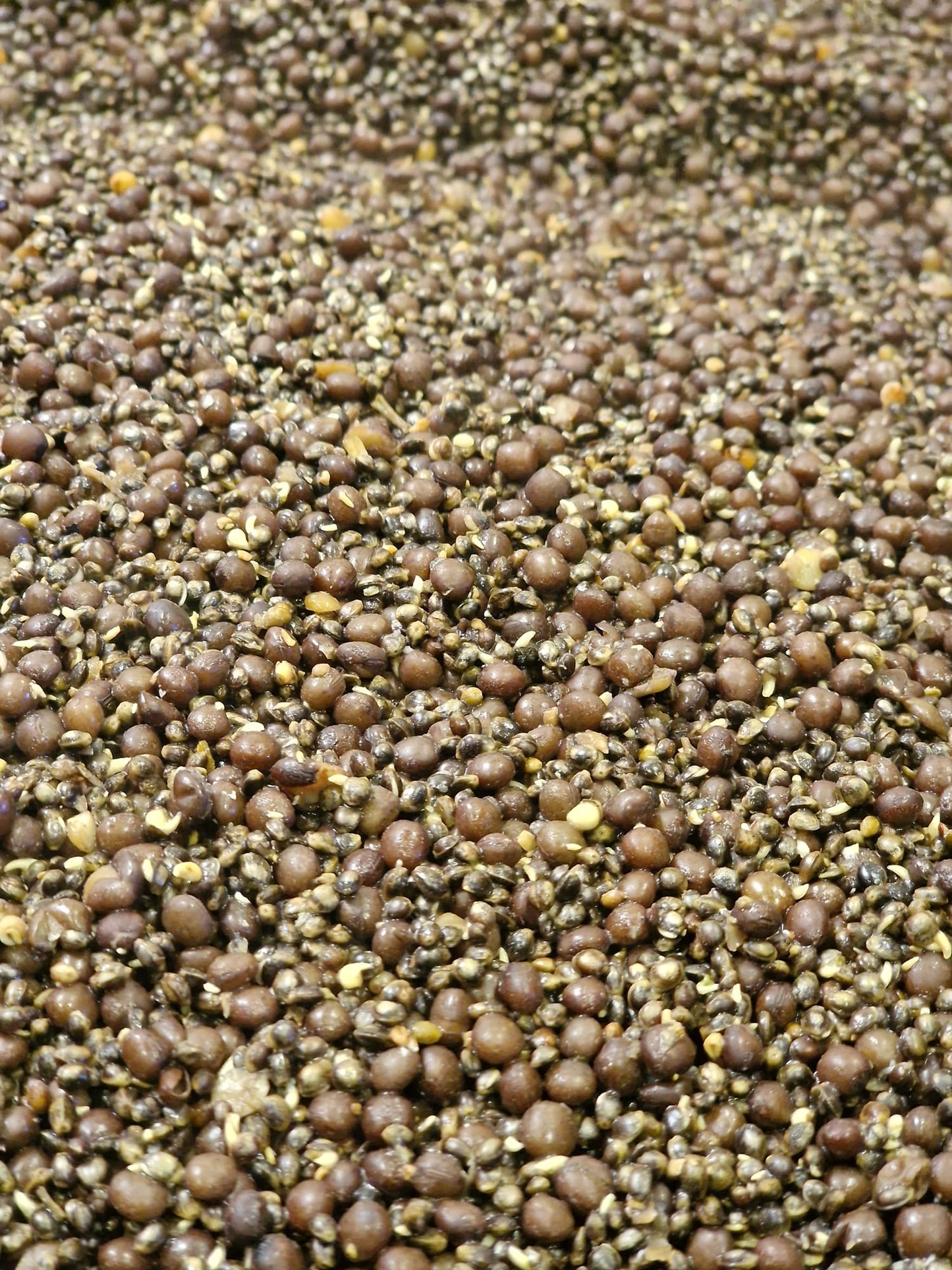 Hemp & Tares (5kg)