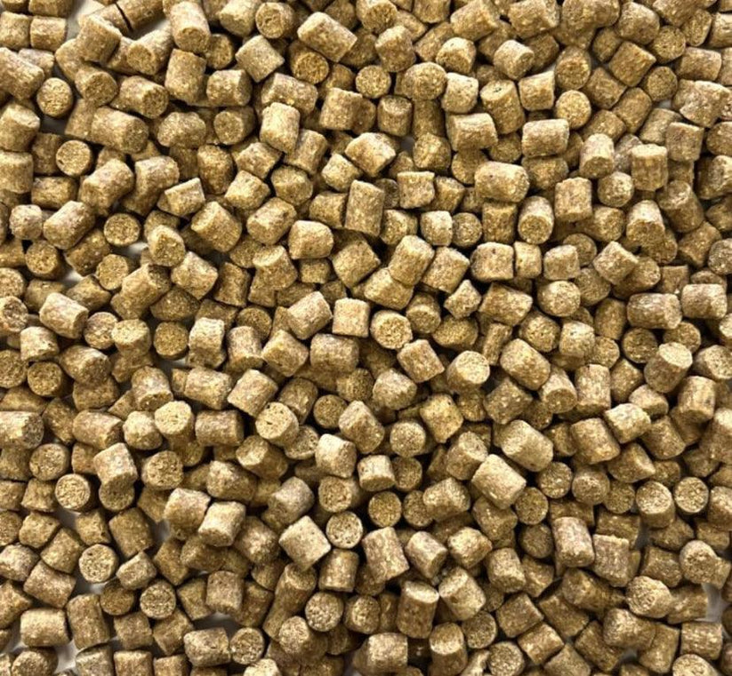 Course Particles Feed Skretting Coarse Pellets – Impact Particles