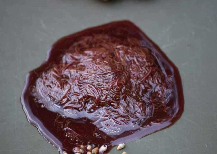 Winter Bundle - Impact Particles 