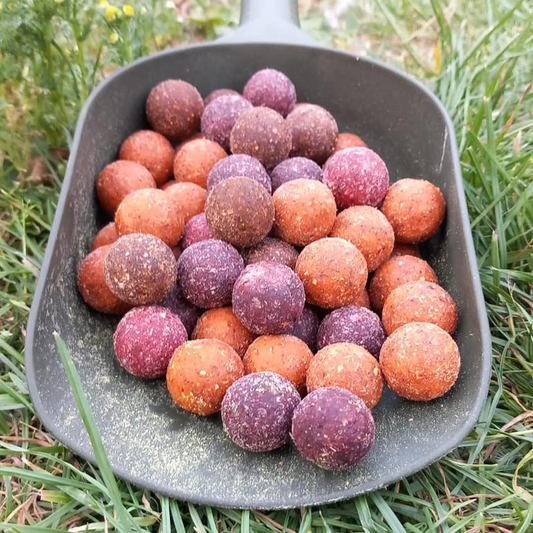 Clearance boilies