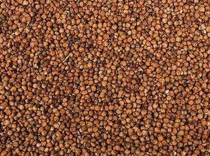 Red Dari Dry Impact Particles red-dari-dry-impact-particles