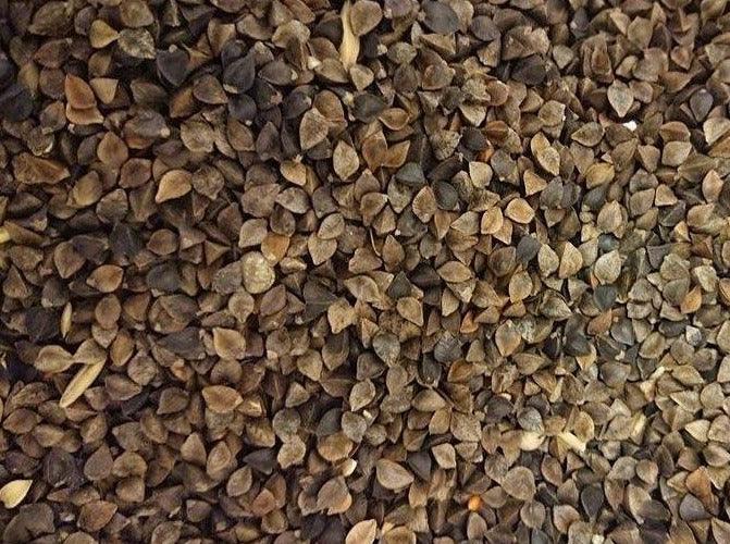 Buckwheat (Dry) - Impact Particles 