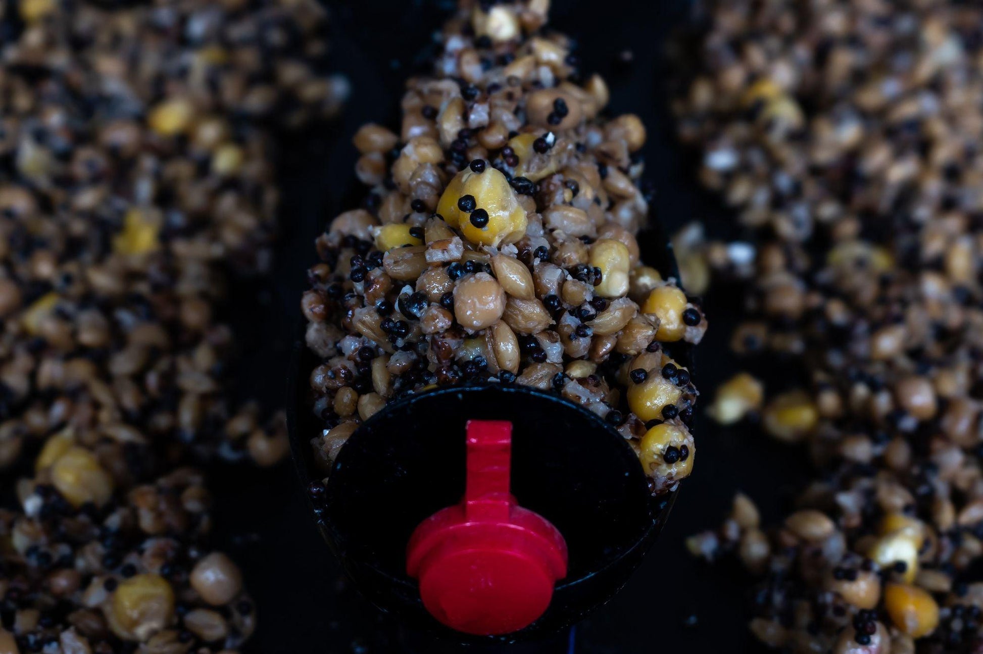 Impact Garlic - Impact Particles 
