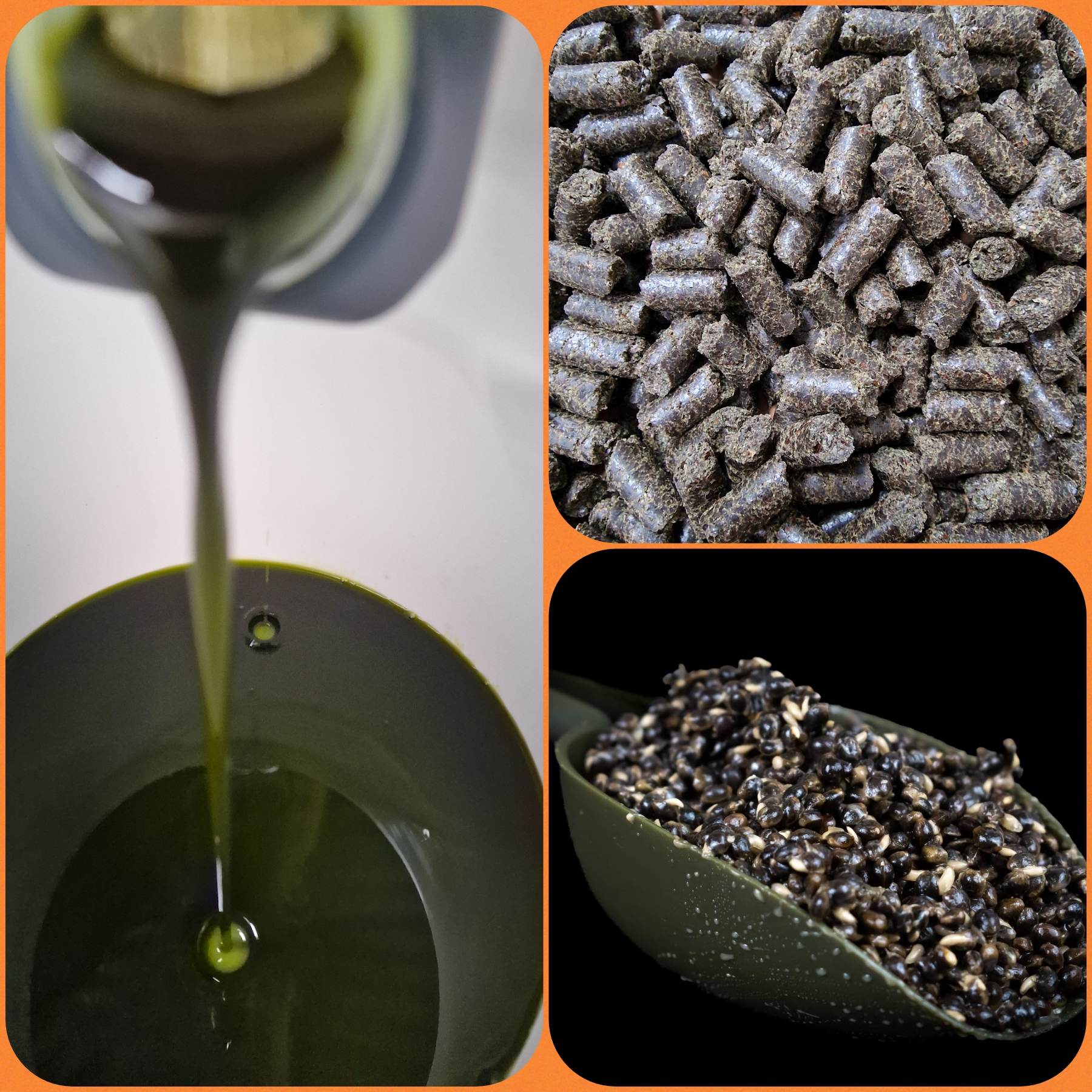Fish Particles Fresh, High-Quality Fishing Particles & Baits – Impact Particles