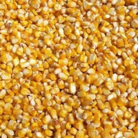 Maize ** Free Delivery **