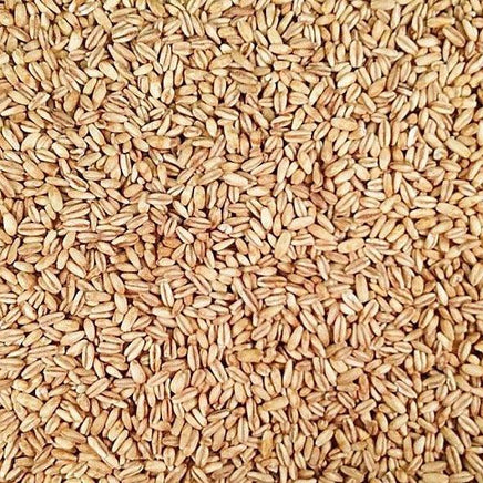 Groats (Dry) – Impact Particles